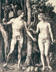 Albrecht Durer Adam and Eve