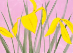 Alex Katz Iris 2, 2019