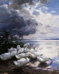 Alexander Koester Ducks at The Lakes Edge