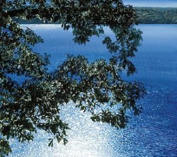 Alice Dalton Brown Silver Light 2006