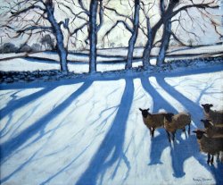 Andrew Macara Sheep in snow