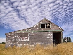 Blair Wainman Lone Occupants