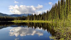 Blair Wainman Mirror Image