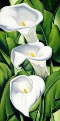 Catherine Abel Lilies