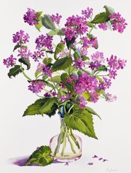 Christopher Ryland Honesty