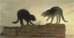 Collection Dos Gatos