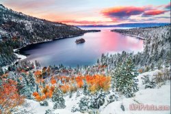 Collection Scene in Winter