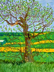 David Hockney Woldgate Tree, May, 2006