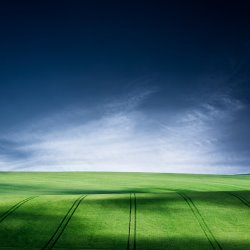 Collection 11 Quiet Life