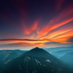 Collection 12 Eagle Eye