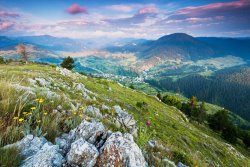 Collection 12 Orphic Land