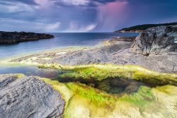 Collection 12 Unexpected Storm