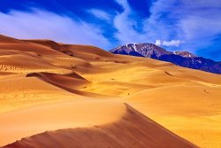 Collection 14 Beauty of The Dunes