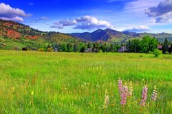 Collection 14 Boulder Park View