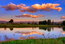 Collection 14 Floating Clouds and Reflections