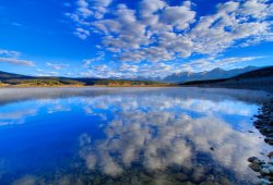 Collection 14 Inspiration