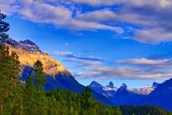 Collection 14 Mountain View