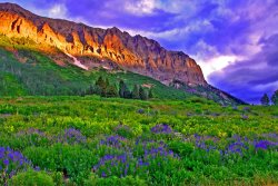 Collection 14 Seasons