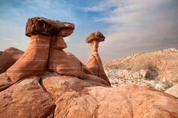 Collection 6 Desert Toadstool Hoodoos