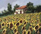 I Girasoli Nel Campo