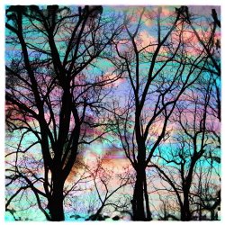 Collection 8 Cotton candy sunrise