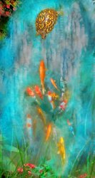 Collection 8 Enchanted