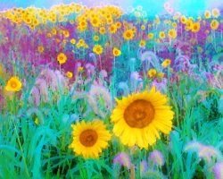 Collection 8 In the morning