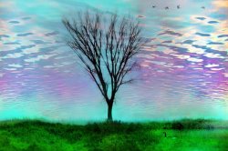 Collection 8 Resting place