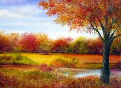 Collection 9 Derbyshire Autumn