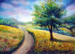 Collection 9 Derbyshire View