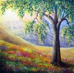 Collection 9 Embrace