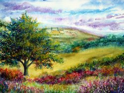 Collection 9 Summer Days