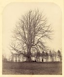 Art Printed on canvas by machine Art Printed on canvas by machine