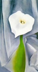 Georgia O'keeffe Calla Lily on Grey