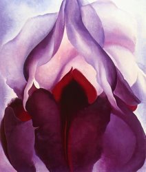 Georgia O'keeffe Flower of Life II