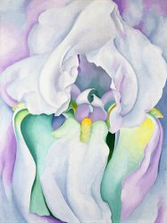 Georgia O'keeffe Light of Iris