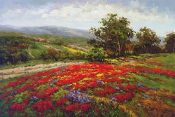 Hulsey Campo Di Fiore II