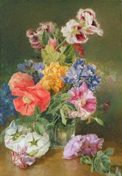 James Holland Roses Poppy And Pelargonia