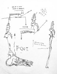Jean-michel Basquiat Leg of a Dog, From Da Vinci, 1983