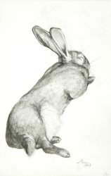 Jeanne Maze Rabbit Sleeping