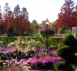 John Lautermilch Gas Lamp in Garden