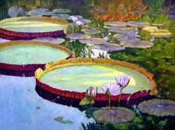 John Lautermilch Morning Highlights