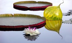 John Lautermilch Quiet Reflections