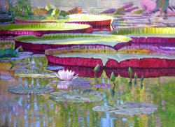 John Lautermilch Sunlight on Lily Pads