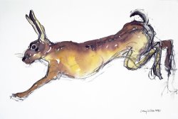 Lucy Willis Jumping Hare