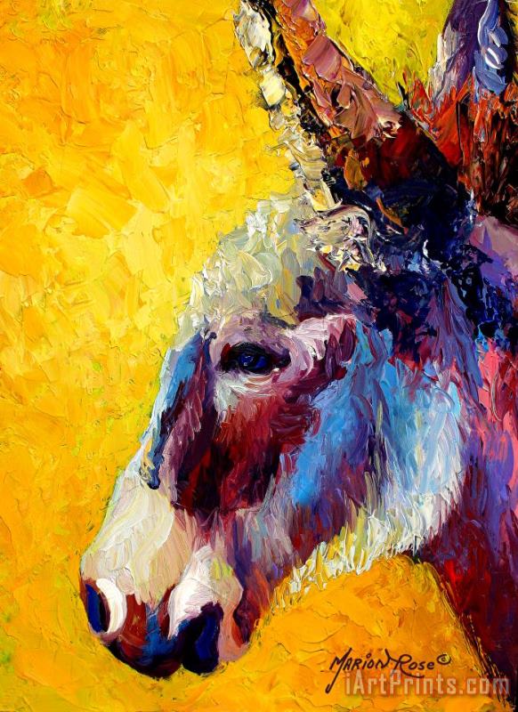 Burro Study II painting - Marion Rose Burro Study II Art Print