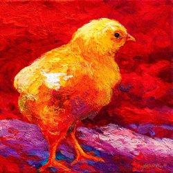 Marion Rose ChicFlic VI