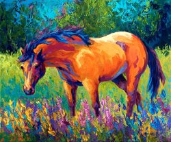 Marion Rose Dun Mare