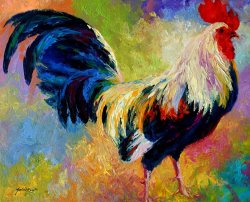 Marion Rose Eye Candy - Rooster