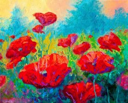 Marion Rose Field Of Red Poppies